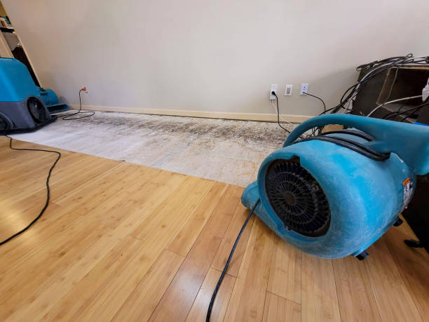 Professional Emergency Water Damage technician working in Sumrall, MS